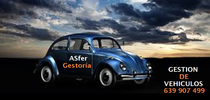 Gestoria Asfer